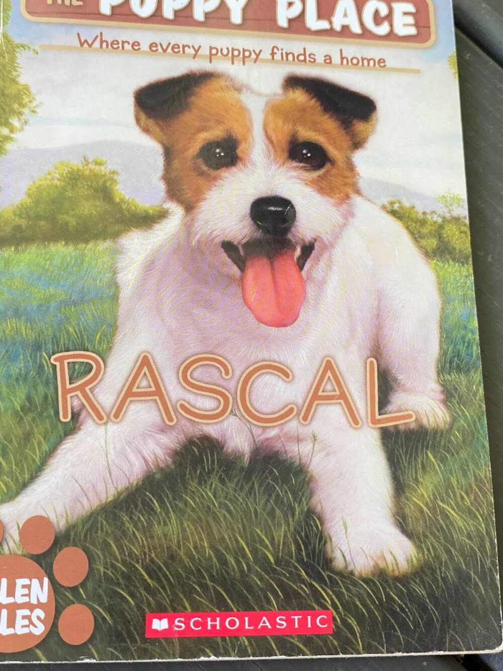 The Puppy Place-Rascal